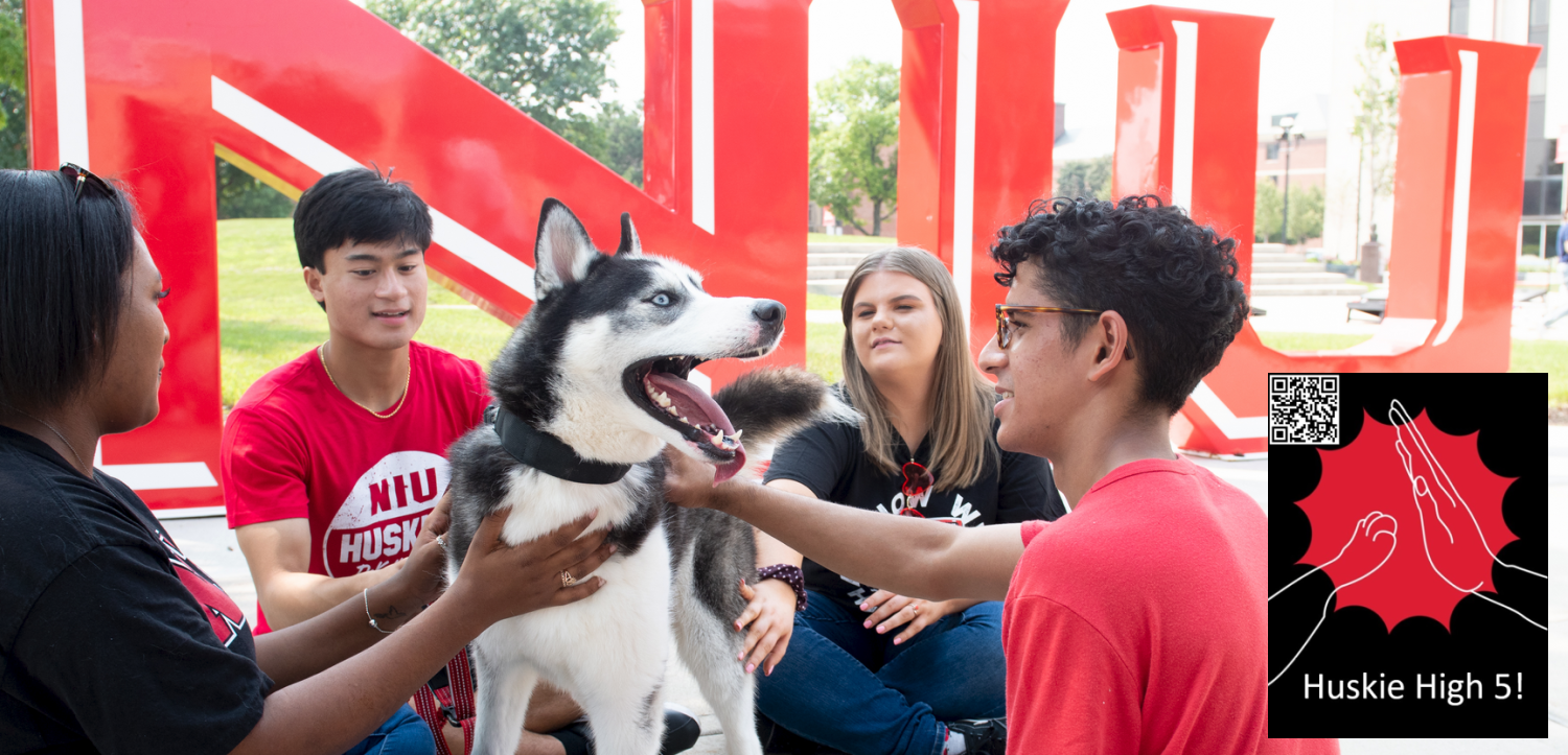 huskie-high-five-banner